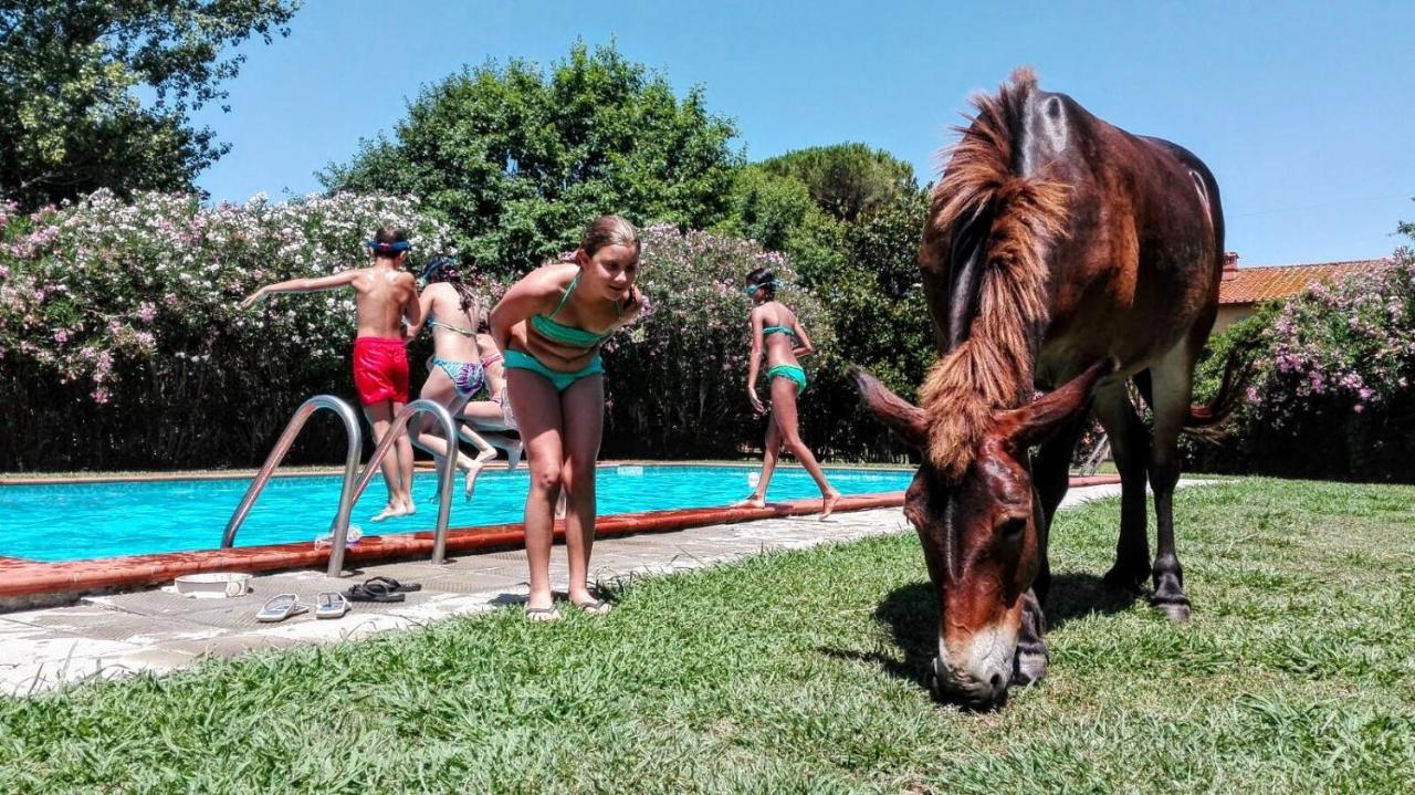 Agriturismo Il Bottaccino Monsummano Terme Екстериор снимка